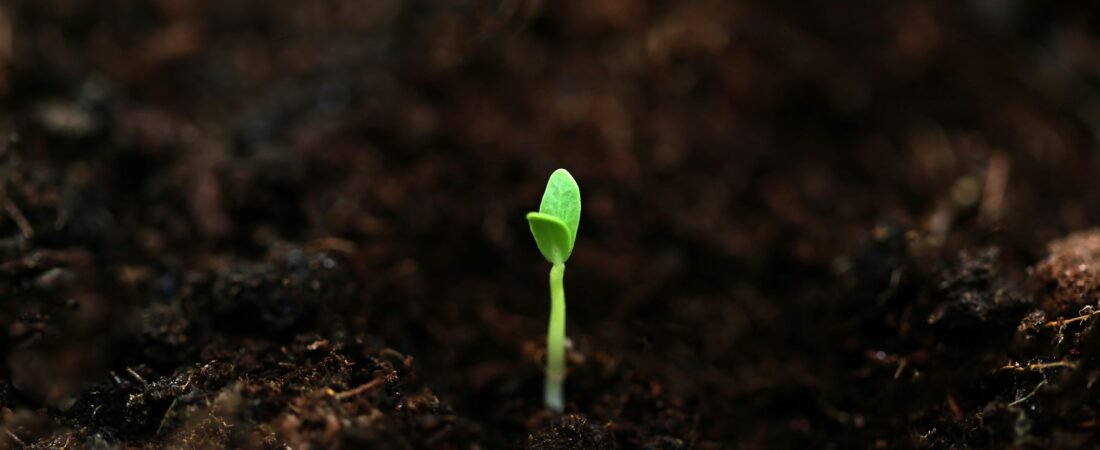 How to Turn an Idea Into a Novel | From Spark to Story